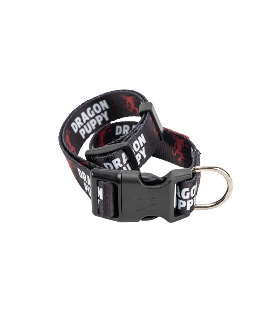 Fireball Nylon Dog Collar - Collar Up in Fire