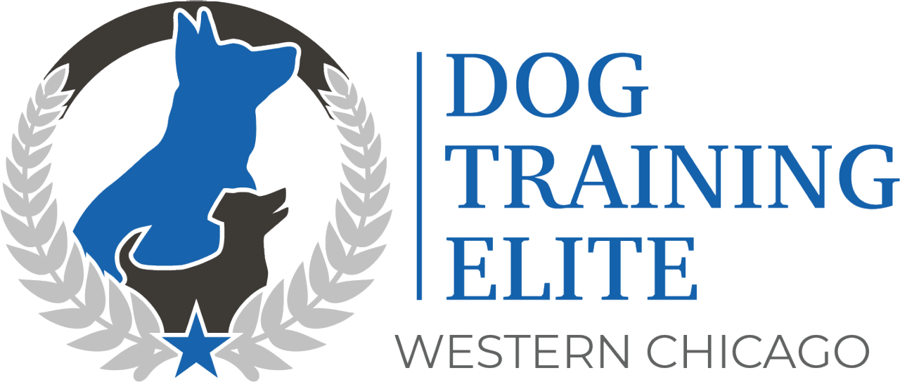 Dog Training Elite Western Chicago